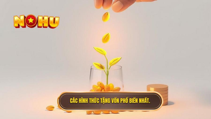 3. Các hình thức tặng vốn phổ biến nhất.